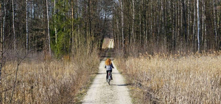 7 weekendowych tras rowerowych i spacerowych na Śląsku