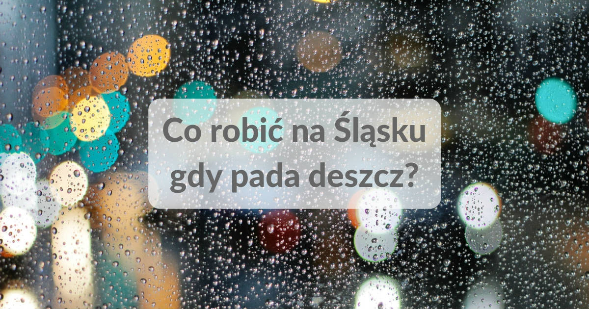 6 Pomysłów Na To Co Robić Na Śląsku Gdy Pada Deszcz Portal