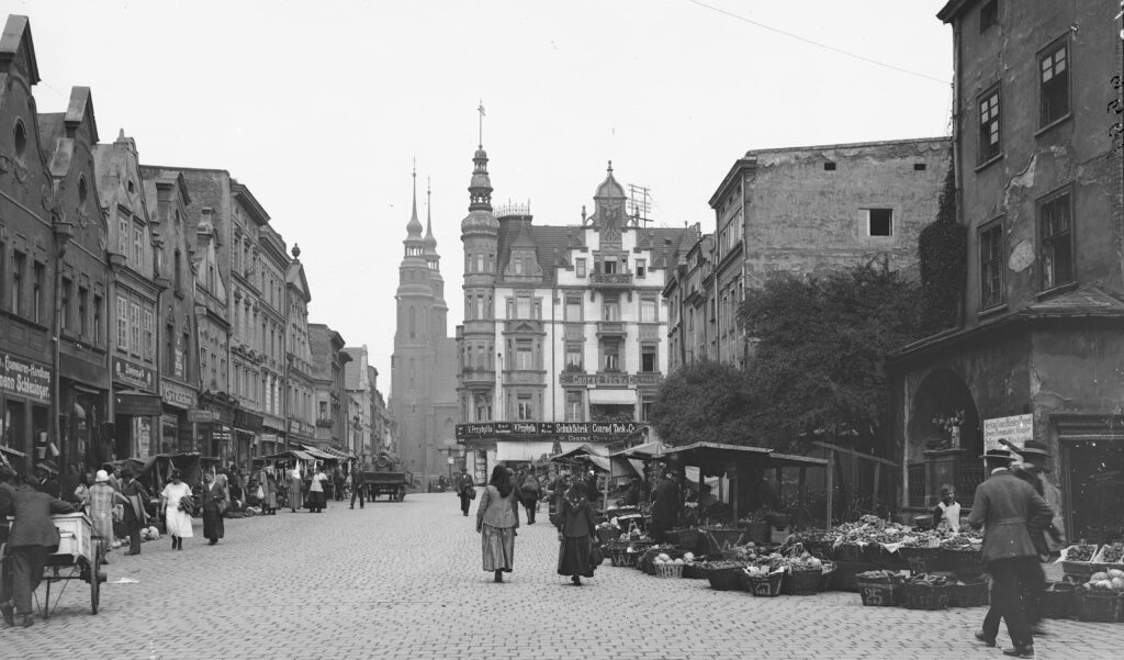 Stolica Górnego Śląska - Opole w latach 1921 - 1933